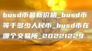 busd币最新价格_busd币等于多少人民币_busd币在哪个交易所_20221229